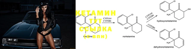 амф Абинск