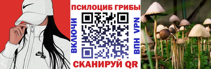 купить закладку  Горячеводский  Псилоцибиновые грибы MAGIC MUSHROOMS 