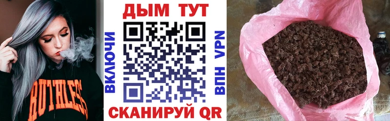 купить закладку Горячеводский Каннабис план